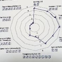 WesenstestNetzdiagramm300 Thumbnail