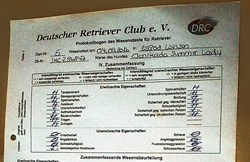 Wesenstest kl