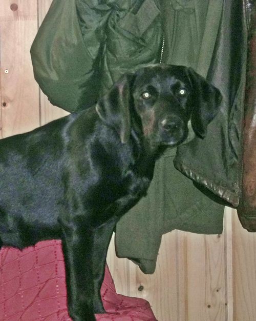 Tess und die Klamotten