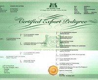 ExportPedigree kl