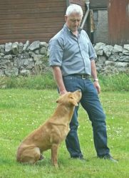 002roddy Ruad