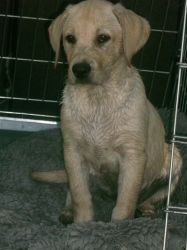 003nachher
