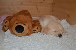 Woche5001