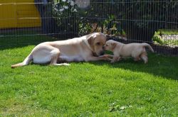 Woche6005