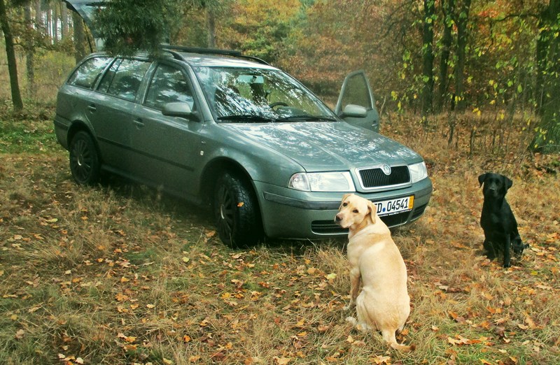 wiedermobil