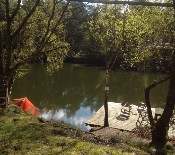 Teich Fassberg3