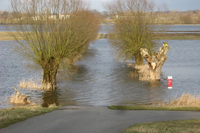 highwaters09.jpg
