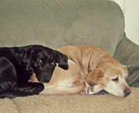 Sun und Tess sind auch genervt vom Warten