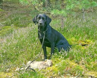 Tess mit ihrem erstem Kaninchen